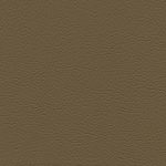 WALNUT-MOD-2029