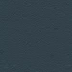 CERULEAN-MOD-2034